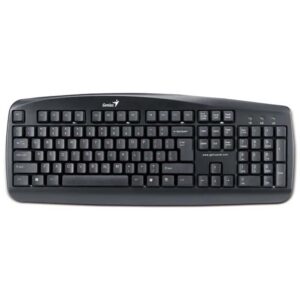 کیبورد جینیوس مدل KB-110 کارکرده